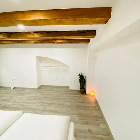 Appartement Jungle Loft - Central/free Parking