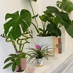 Jungle Loft - Central/free Parking 公寓