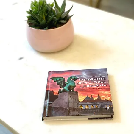 Apartament Jungle Loft - Central/free Parking *