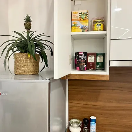 公寓 Jungle Loft - Central/free Parking *