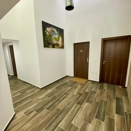 Jungle Loft - Central/free Parking Apartment