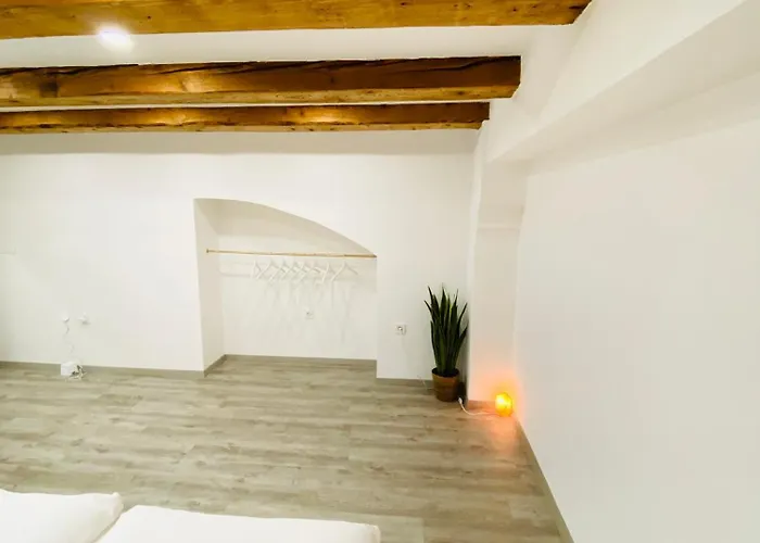 Apartment Jungle Loft - Central/free Parking