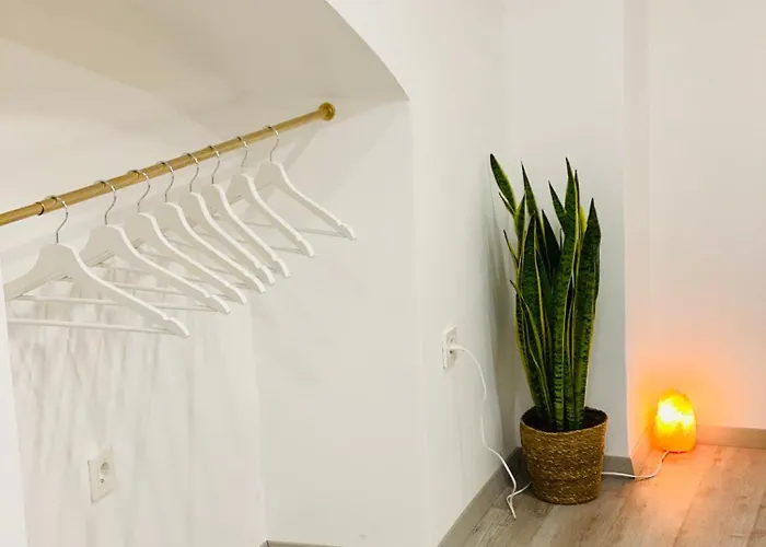 Apartment Jungle Loft - Central/free Parking